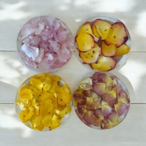 REAL Rose Pedal Coasters (Set of 4)